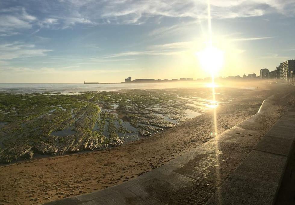 Apartment Le Cosy T2 Hypercentre ! Parking Inclus Et La A 2 Min ! Les Sables-d'Olonne
